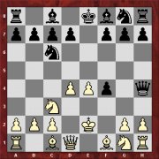 position after 5.Ke2